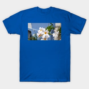 Paris Rue Cremieux White Flowers T-Shirt